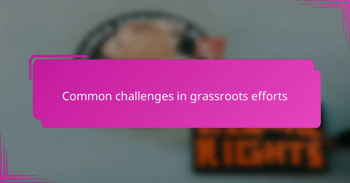 Common challenges in grassroots efforts