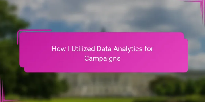 How I Utilized Data Analytics for Campaigns